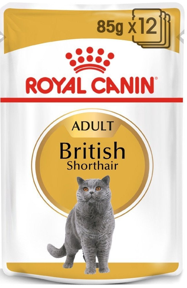 ROYAL CANIN British Shorthair Adult Beutel 12x85g in Soße (Mit Rabatt-Code ROYAL-5 erhalten Sie 5% Rabatt!)