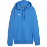 Puma Teamgoal Casuals Hoody Wmn Pullover