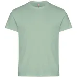 Clique Basic T-Shirt sage green XXL