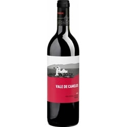 Vale de Camelos Vinho Regional Alentejano 2022, Bio Rotwein, Biowein