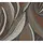 A.S. Création Vliestapete Blätter Floral Modern 10,05 m x 0,53 m Braun