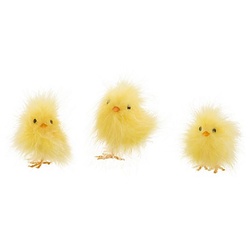 Küken, 3 Stück