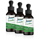 Increase Liposomale Grüntee Tropfen 1600 mg 180 ml