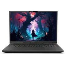 Captiva Highend Gaming I81-516 17,3'' Core i9-14900HX 64 GB RAM 4 TB SSD RTX 4080