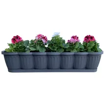 Buri Blumenkasten 80 x 20 x 16,5 cm Anthrazit