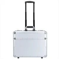 ALUMAXX Omega 2-Rollen Cabin 38,5 cm / 30 l silber