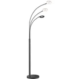 Fischer Leuchten Stehleuchte 185 cm 45,0 cm Schwarz