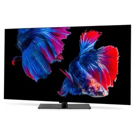 Medion MD865901 65" 3840 x 2160 Pixel OLED 4K Fernseher
