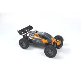 DF-Models RC-Buggy Rookie Fighter 2,4GHz RTR mehrfarbig (3147)