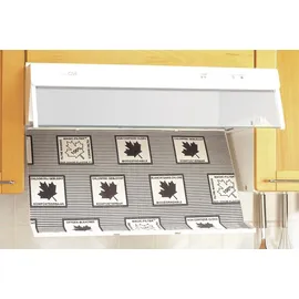 Wenko 2226020100 Flachfilter 2er