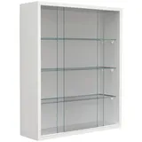 VCM Mid.you Hängevitrine Drivalo M
