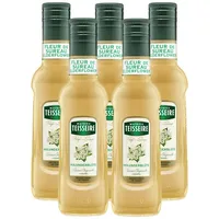 Teisseire Getränke-Sirup Holunderblüte 0,25L (5er Pack)