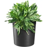 Kadax Ø 30 cm Graphit