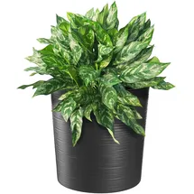 Kadax Ø 30 cm Graphit