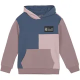 Color Kids Hoodie Pink 104