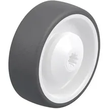 Blickle Rollbrett POTH 100/10KA 750 kg