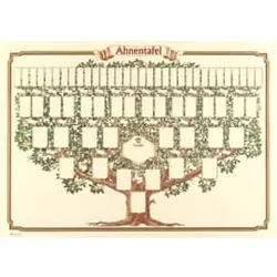 RNK Ahnentafel Baum 50x70 1-63 Per 2808