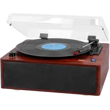 Trevi TT 1030 BT Holz