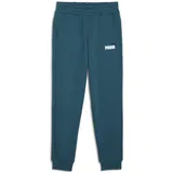 Puma Jungen ESS+ 2 Col Logo Pants FL Cl B Strickhose