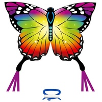 Ecoline Ecoline 102223 - Butterfly Kite Rainbow - Kinderdrachen, ab 5 Jahren, 95x120cm , inkl. 17kp Polyester Schnüre