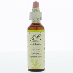 Bach®-Blüte Mustard (Wilder Senf)