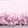 FONDART Life Shaggy 1500 Hochflorteppich 300 x 400 cm pink