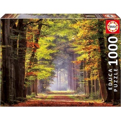 Educa Herbstweg durch Wald Puzzle (1000 -Teile)