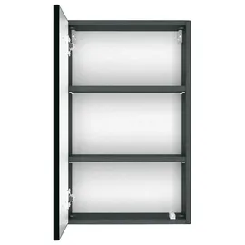 WELLTIME Hängeschrank WELLTIME "Baabe", grau, B:40cm H:64cm T:20cm, Holzwerkstoff, Schränke, Hängeschrank, Badmöbel Breite 40 cm