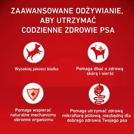 Purina Adult Medium/Maxi Rind & Reis 12 kg