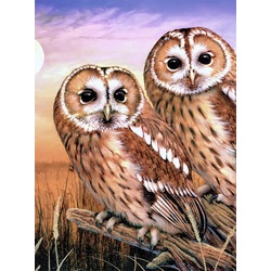 Royal Langnickel Malvorlage Tawny Owls, 30 cm lang