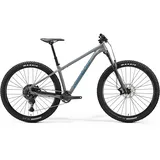 Merida Big.Trail 500 29 Zoll RH XL Unisex scool grey