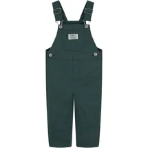 Levi's Latzhose Grün 74