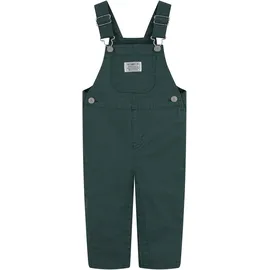 Levi's Latzhose Grün 74