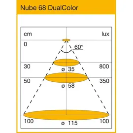 L&S Leuchte Nube ø68, 3W DualColor vernickelt matt