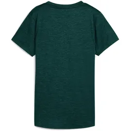 Puma Tad Essential Heather grün XL