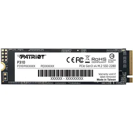 Patriot Memory P310P960GM28, 960 GB, M.2