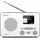 TechniSat TechniRadio 6 IR weiß/grau