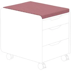 Sitzpolster PAIDI TEENIO - BHT 40.90x3x54.50 cm