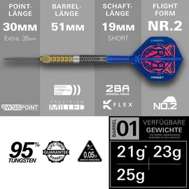 Target Darts Raymond van Barneveld G6 23 g