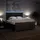 vidaXL Boxspringbett mit Matratze Dunkelbraun 180x200 cm Stoff