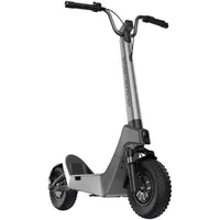 STREETBOOSTER E-Scooter STREETBOOSTER Castor silber