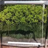 Energiesparendes Seitenrollo Außenrollo Balkonrollo,Transparentes PVC-Rollo,UV-beständiger Wasserdichter Vorhang,Leicht Anzuheben und Leicht zu Installierende Fensterrollo (W60xH160cm/W24 xH63)