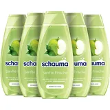 Schauma Schwarzkopf Mildes Pflege-Shampoo Sanfte Frische (5x 400 ml), Haarshampoo reinigt gründlich, pflegt & erfrischt, Shampoo für normales Haar, mit Apfel- & Brennnessel-Extrakt