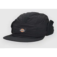 Dickies Glendive cap in schwarz (DK0A4Z3LBLK1)