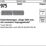 Hörger & Geßler Gewindestange DIN 975 Trapezgewinde TR 24 x 5 x 1000 mm 1 Stück
