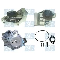 Saleri SIL Wasserpumpe