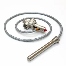 Watts Industries Thermische Ablaufsicherung Watts STS20-200