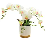 Hasaller Künstliche Orchidee mit Vase, weiße Orchidee, Bonsai, künstliche Orchidee, Phalaenopsis-Blumentopf, Arrangements für Heimdekoration (weiß)