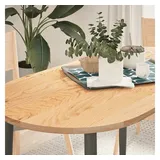 vidaXL Tischplatte 120 x 60 x 2 cm