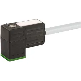 Murrelektronik Ventilstecker BF C 8mm 7000-80061-2260500